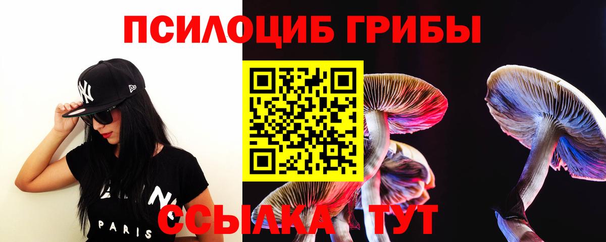 Галлюциногенные грибы мицелий  Вход с VPN  Россия 